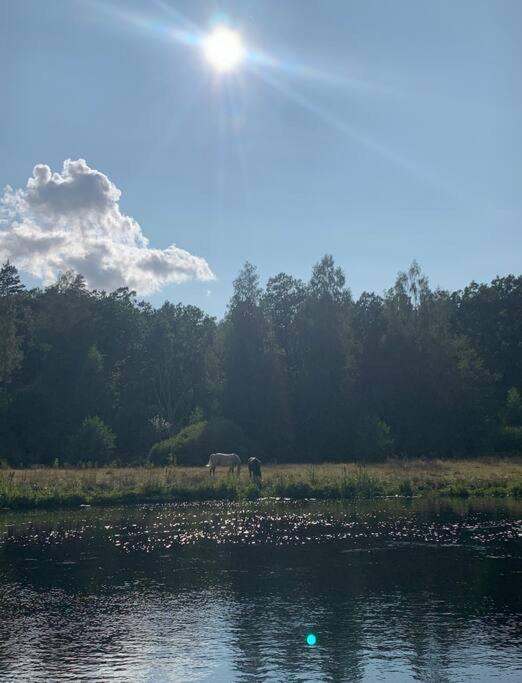 Ett Naturparadis Intill Moerrumsan Svängsta Exteriér fotografie